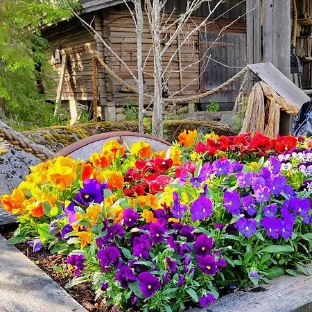 Chalet Nikolain Tupa, Vanha Hirsitalo Tuorila