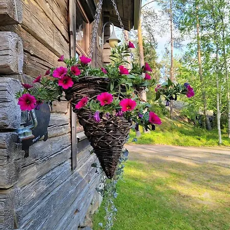 Nikolain Tupa, Vanha Hirsitalo