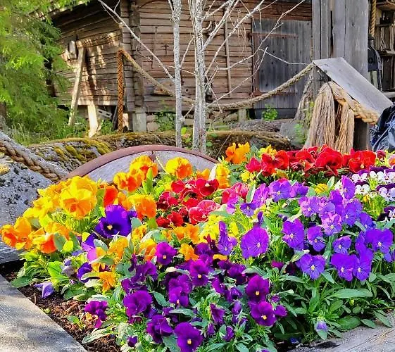 Chalet Nikolain Tupa, Vanha Hirsitalo Tuorila